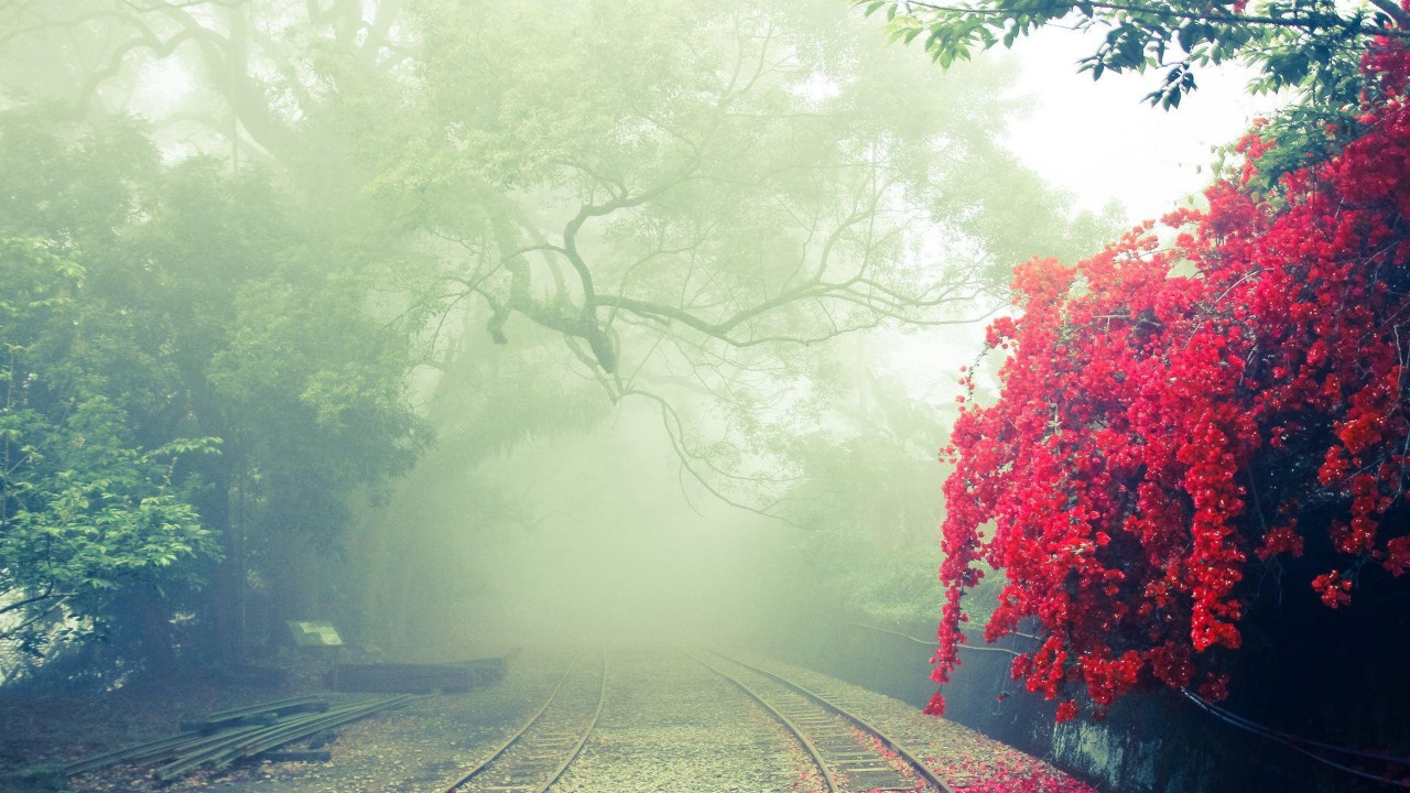 Fog on a Rail Line (Pexels)